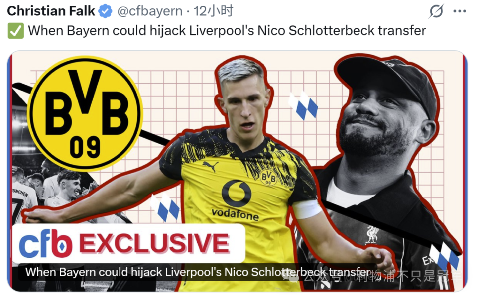 要的类型, 博主